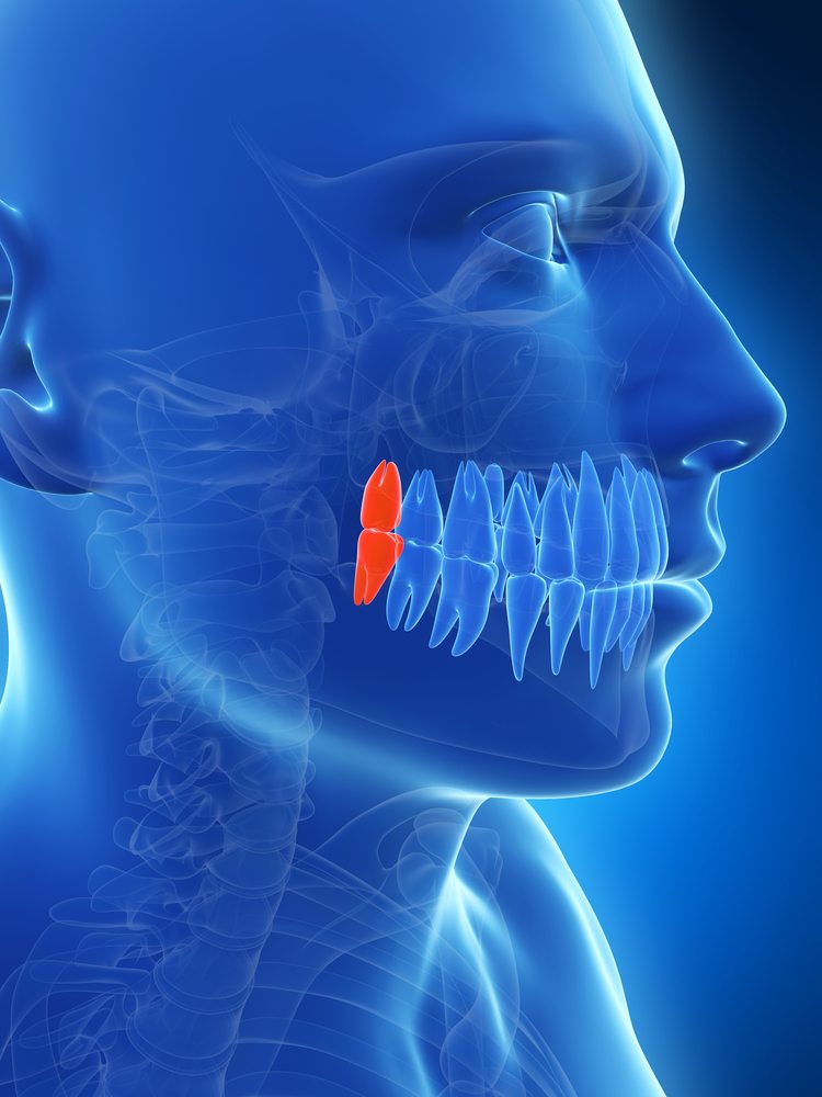 Oral Surgery & Wisdom Teeth » Prescott, AZ | Mangum Dental